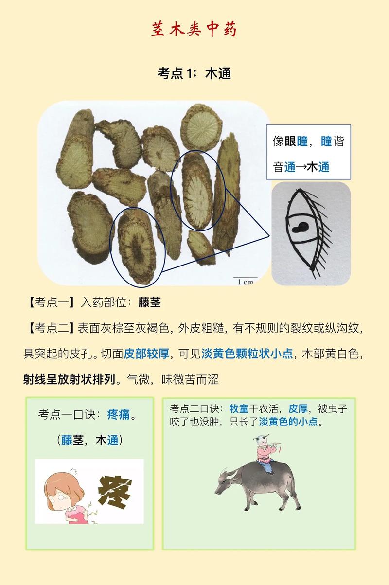 梵昌印度代购希爱力是真的吗？避坑指南与正品鉴别全攻略